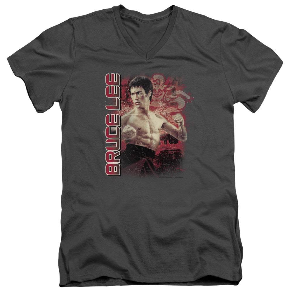 BRUCE LEE FURY