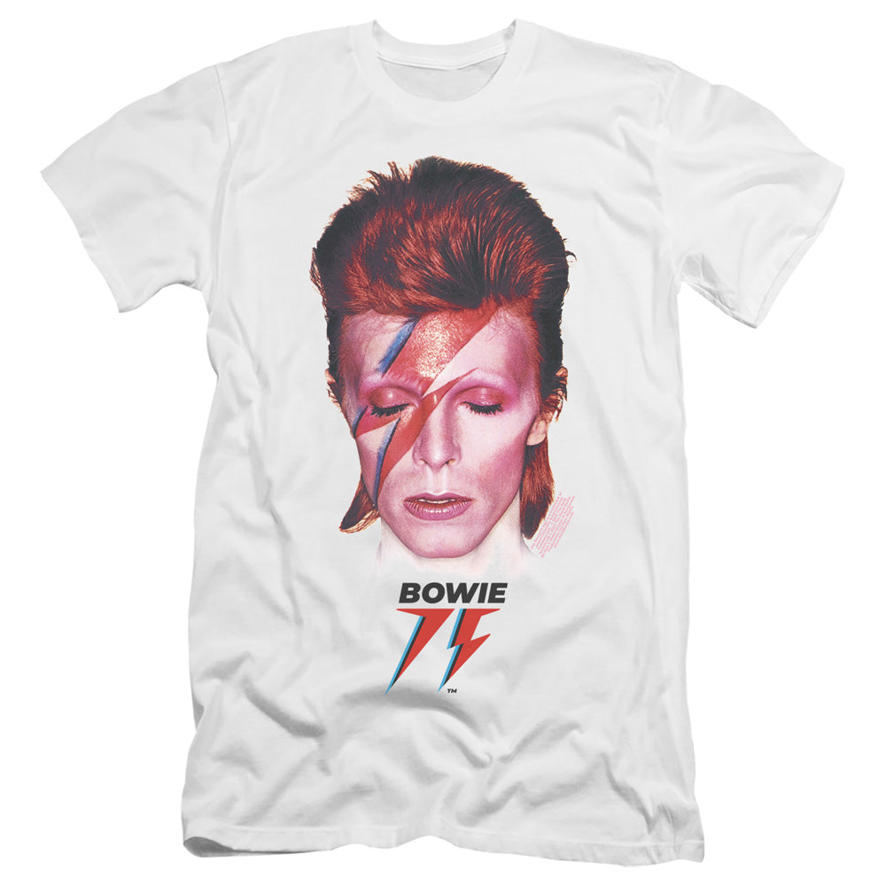 DAVID BOWIE ALADDIN SANE 75