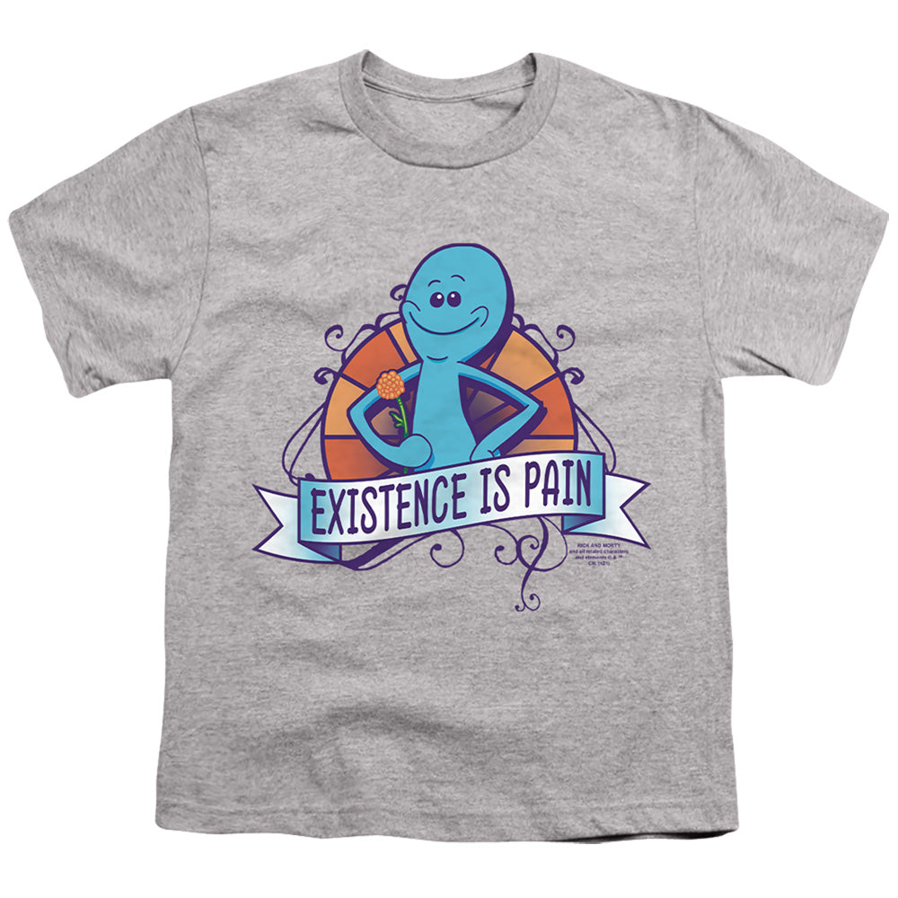 RICK AND MORTY : EXISTENCE IS PAIN S\S YOUTH 18\1 Athletic Heather XL