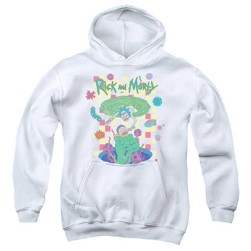 RICK AND MORTY : FALLING PORTALS YOUTH PULL OVER HOODIE White LG