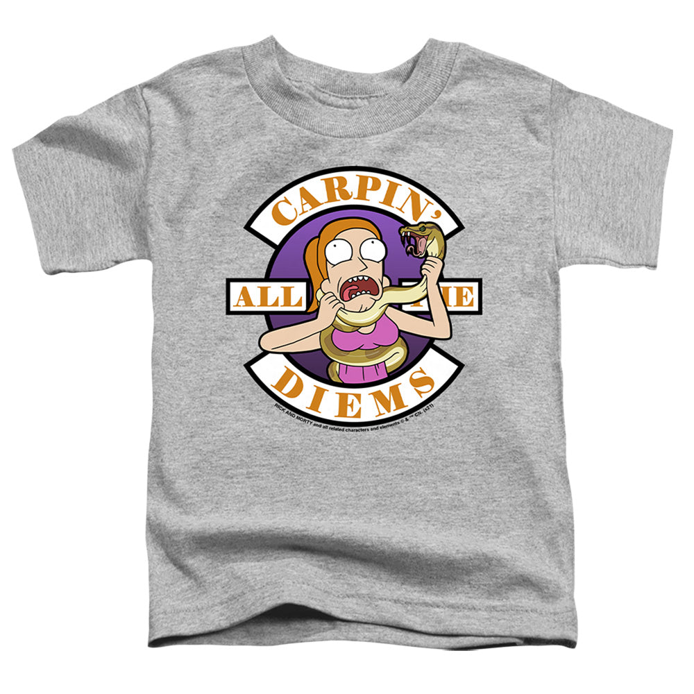 RICK AND MORTY : CARP EN ALL THEM DIEMS S\S TODDLER TEE Athletic Heather MD (3T)