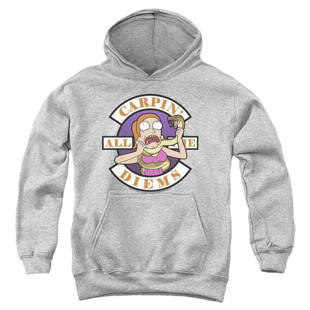 RICK AND MORTY : CARP EN ALL THEM DIEMS YOUTH PULL OVER HOODIE Athletic Heather MD