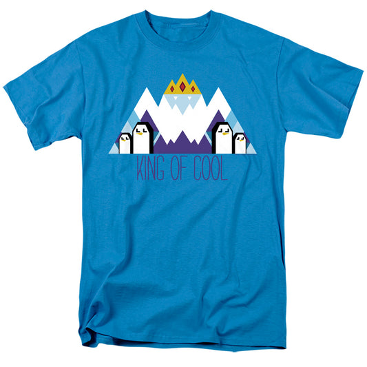 ADVENTURE TIME ICE KING GEO