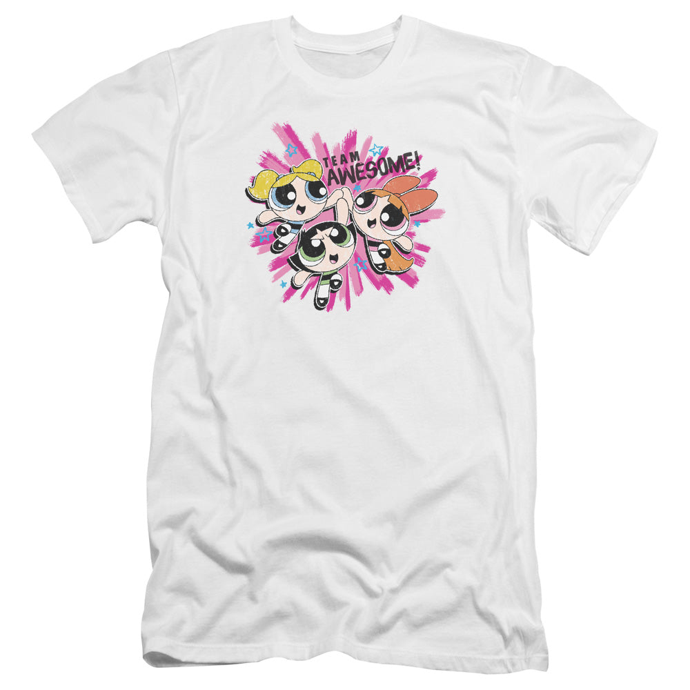 POWERPUFF GIRLS : TEAM AWESOME PREMIUM CANVAS ADULT SLIM FIT 30\1 White 2X