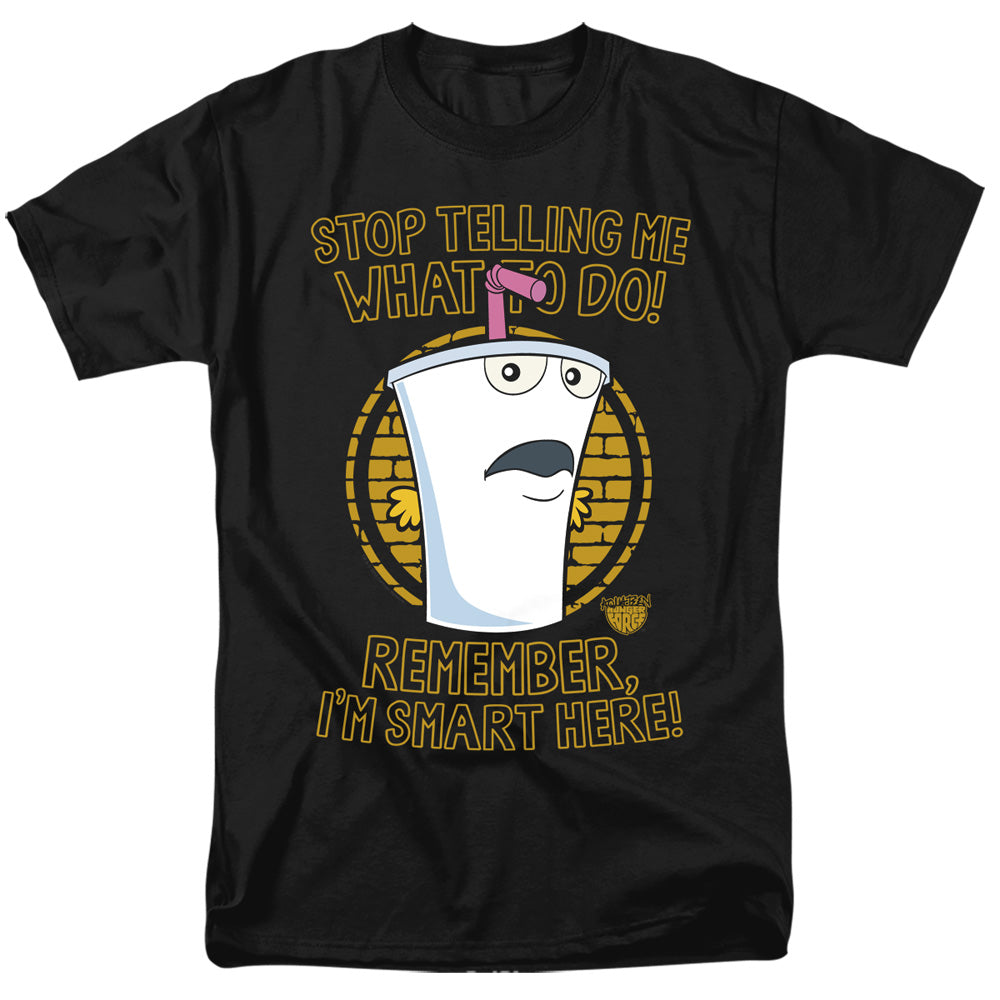 AQUA TEEN HUNGER FORCE STOP