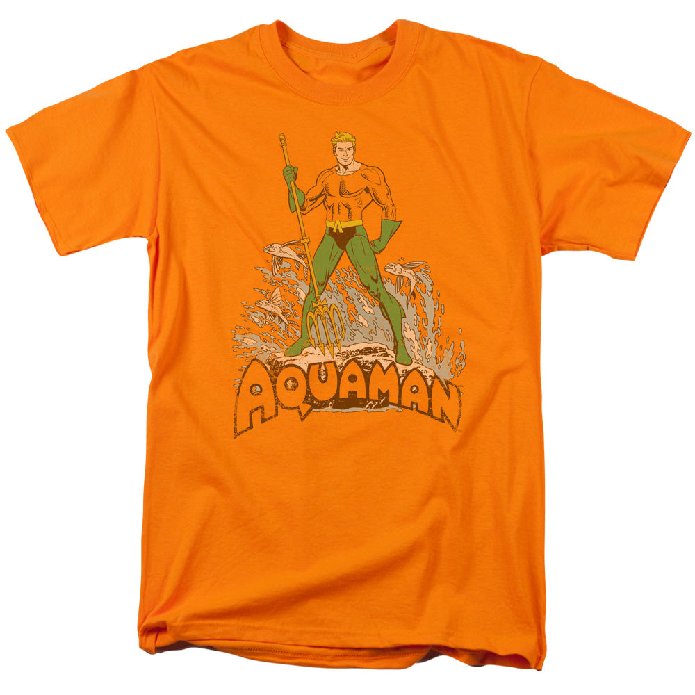 DC AQUAMAN DISTRESSED