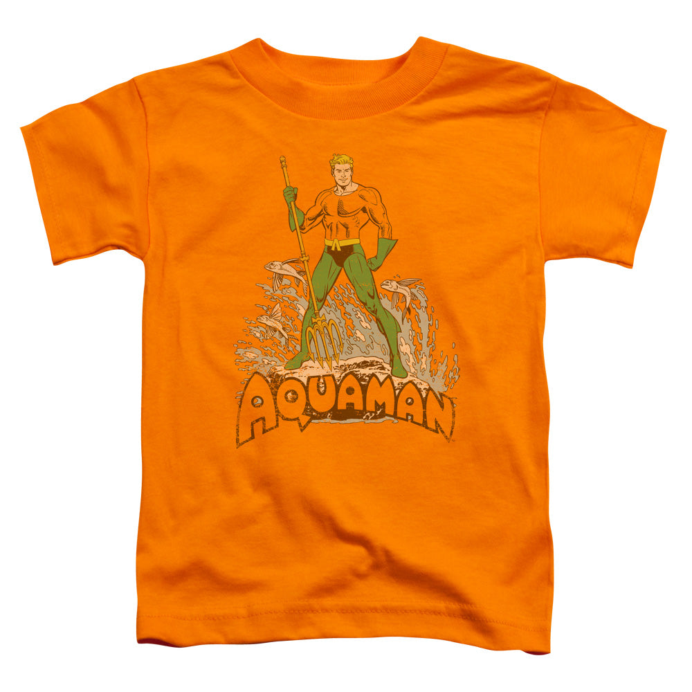 DC AQUAMAN DISTRESSED