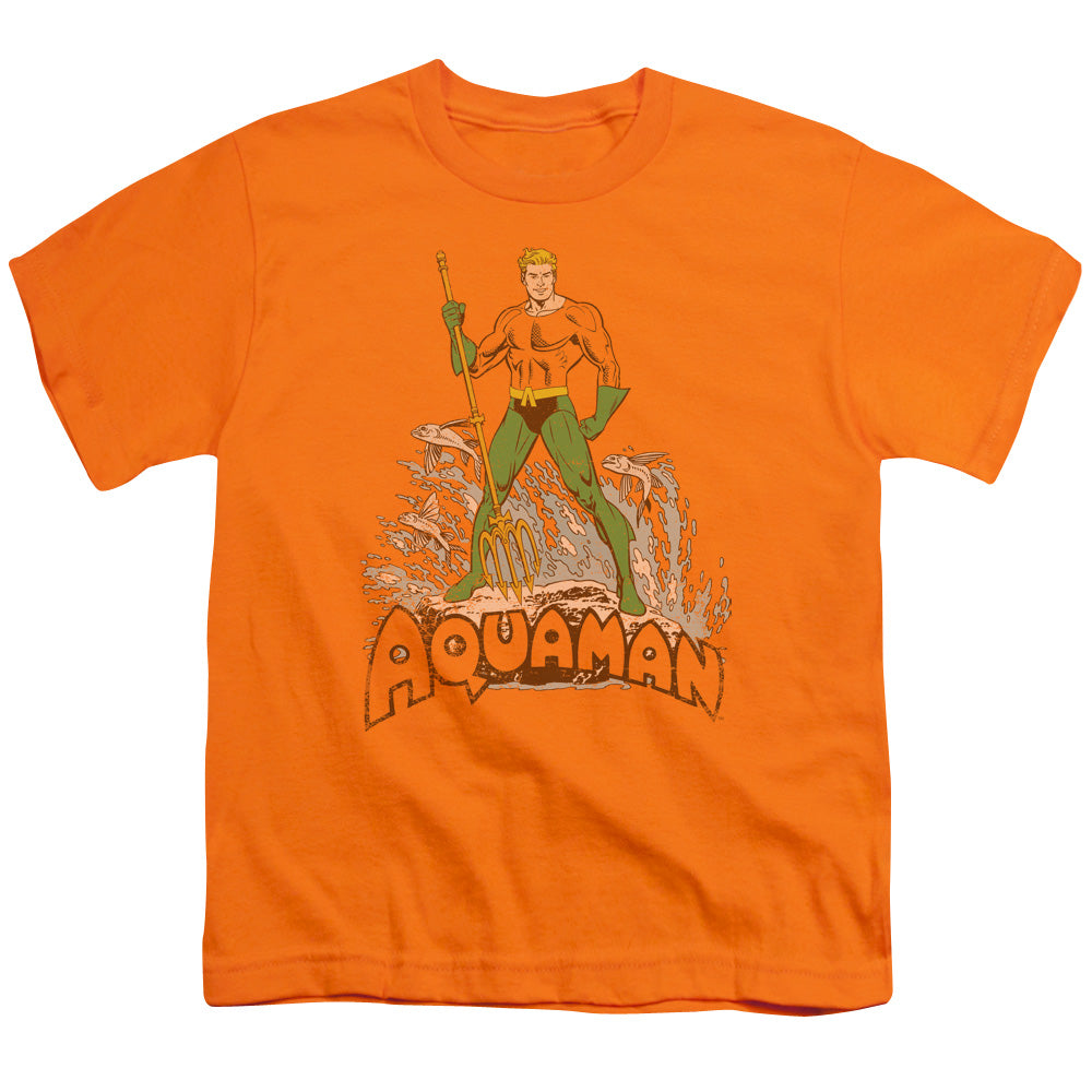 DC AQUAMAN DISTRESSED