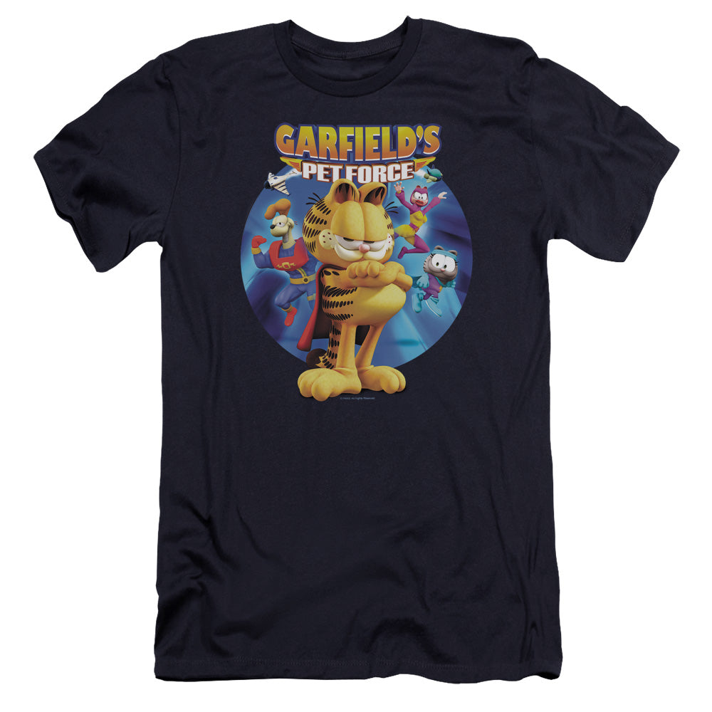 GARFIELD DVD ART