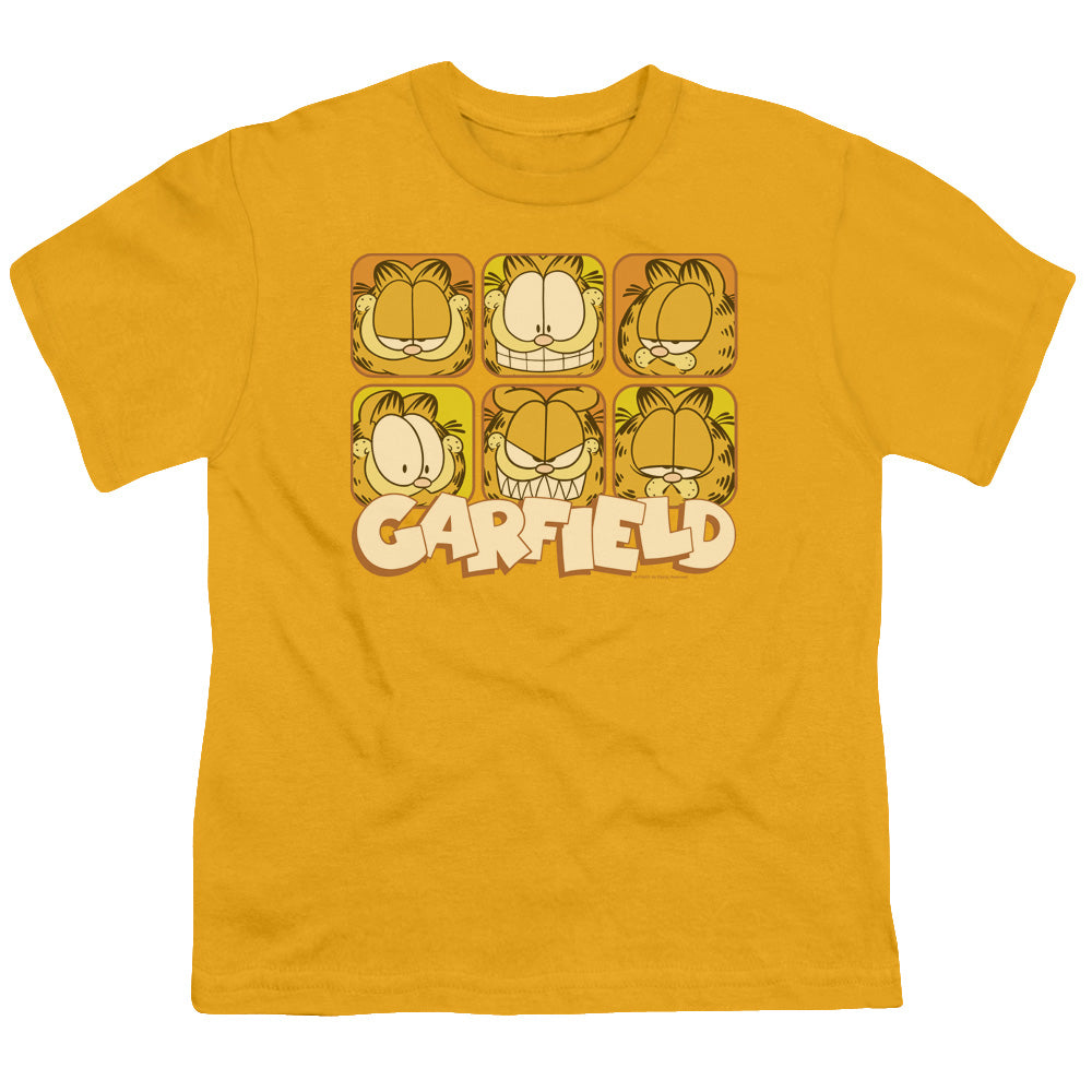 GARFIELD MANY FACES