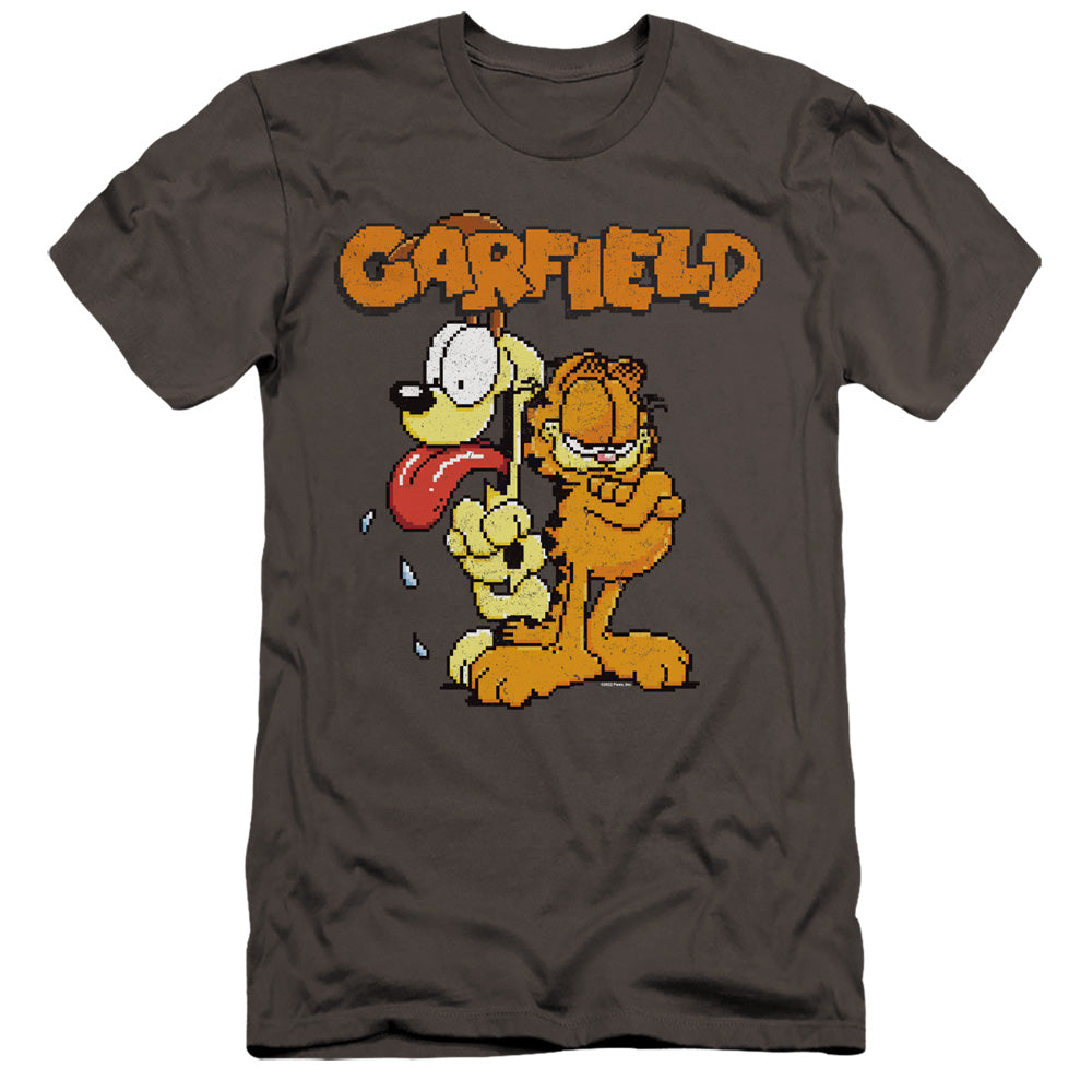 GARFIELD GARFIELD THE GAME