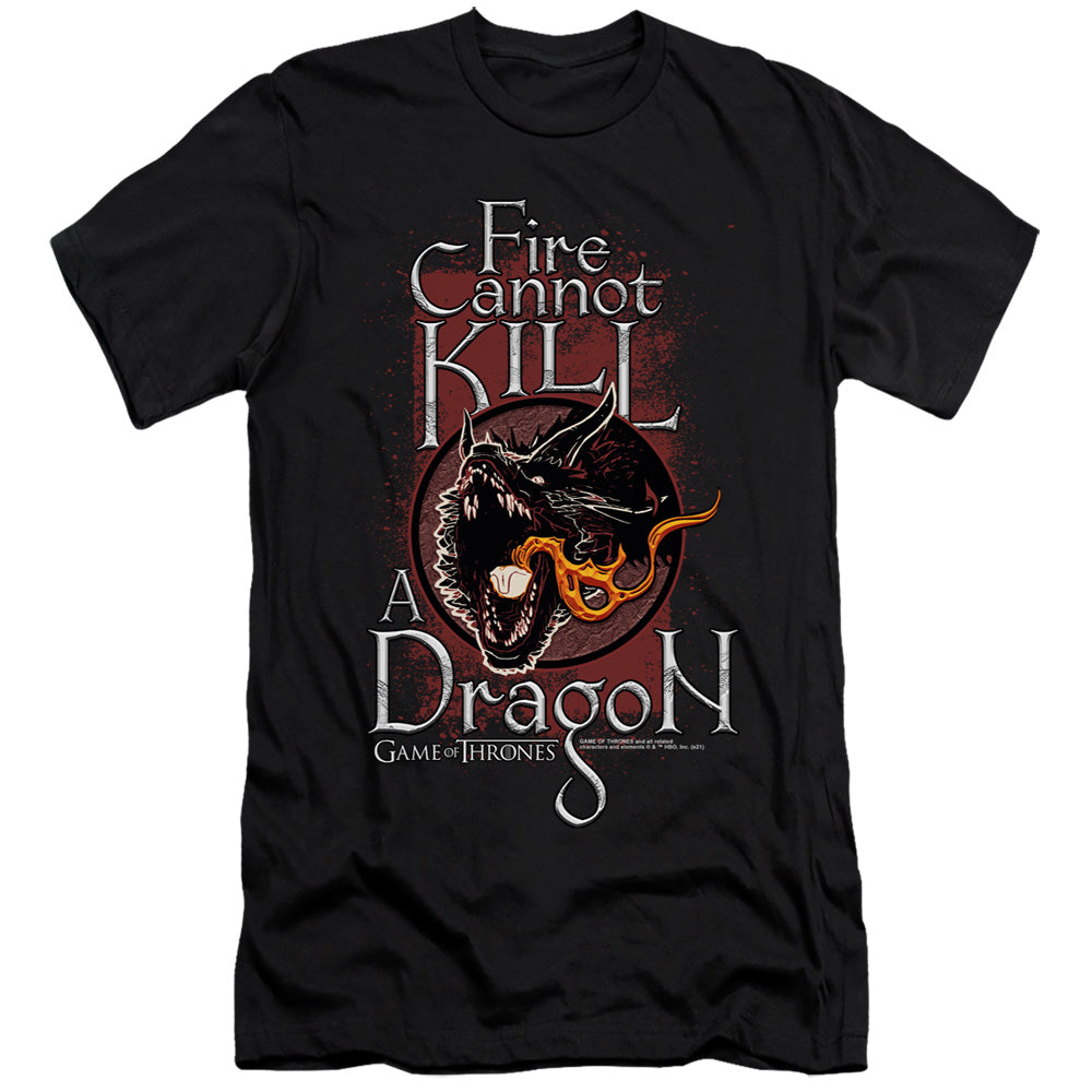 GAME OF THRONES FIRE CANNOT KILL A DRAGON