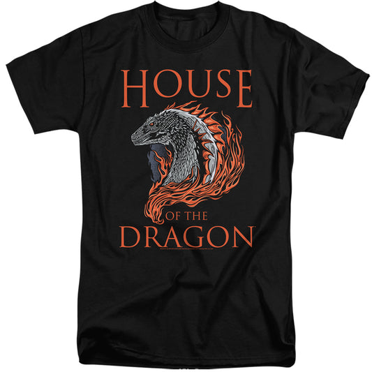 HOUSE OF THE DRAGON : HOD DRAGON ILLUSTRATION ADULT TALL FIT SHORT SLEEVE Black 2X