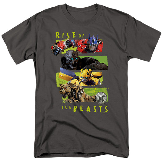 TRANSFORMERS : TRANSFORMERS LINEUP S\S ADULT 18\1 Charcoal XL