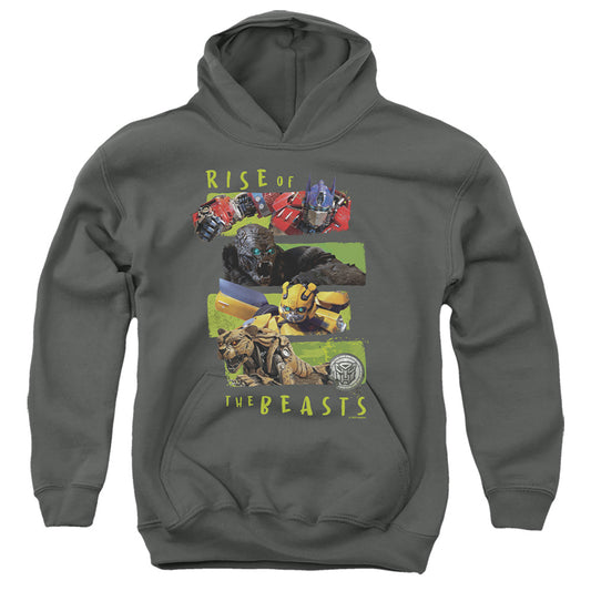 TRANSFORMERS : TRANSFORMERS LINEUP YOUTH PULL OVER HOODIE Charcoal LG