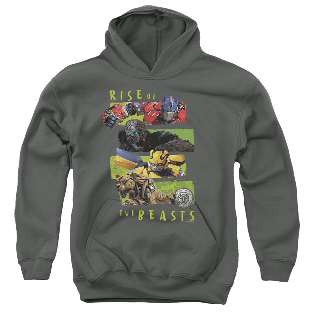 TRANSFORMERS : TRANSFORMERS LINEUP YOUTH PULL OVER HOODIE Charcoal XL