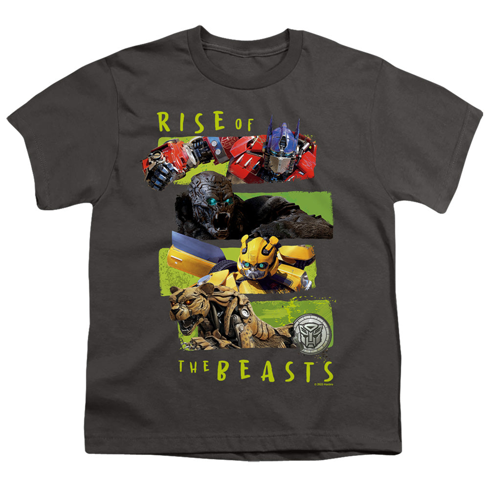 TRANSFORMERS : TRANSFORMERS LINEUP S\S YOUTH 18\1 Charcoal XL