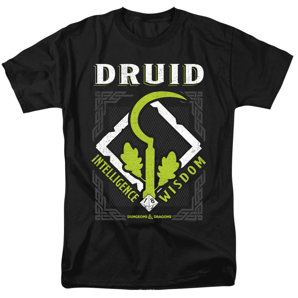 DUNGEONS AND DRAGONS DRUID