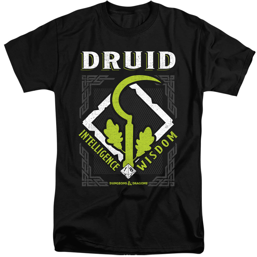 DUNGEONS AND DRAGONS DRUID