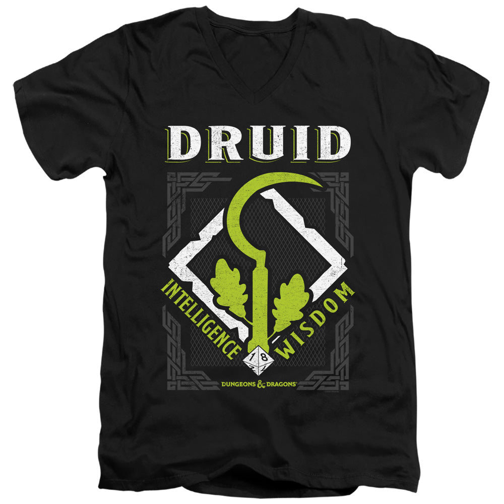 DUNGEONS AND DRAGONS DRUID