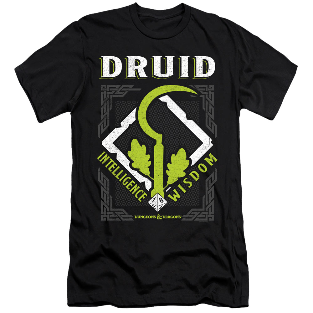 DUNGEONS AND DRAGONS DRUID