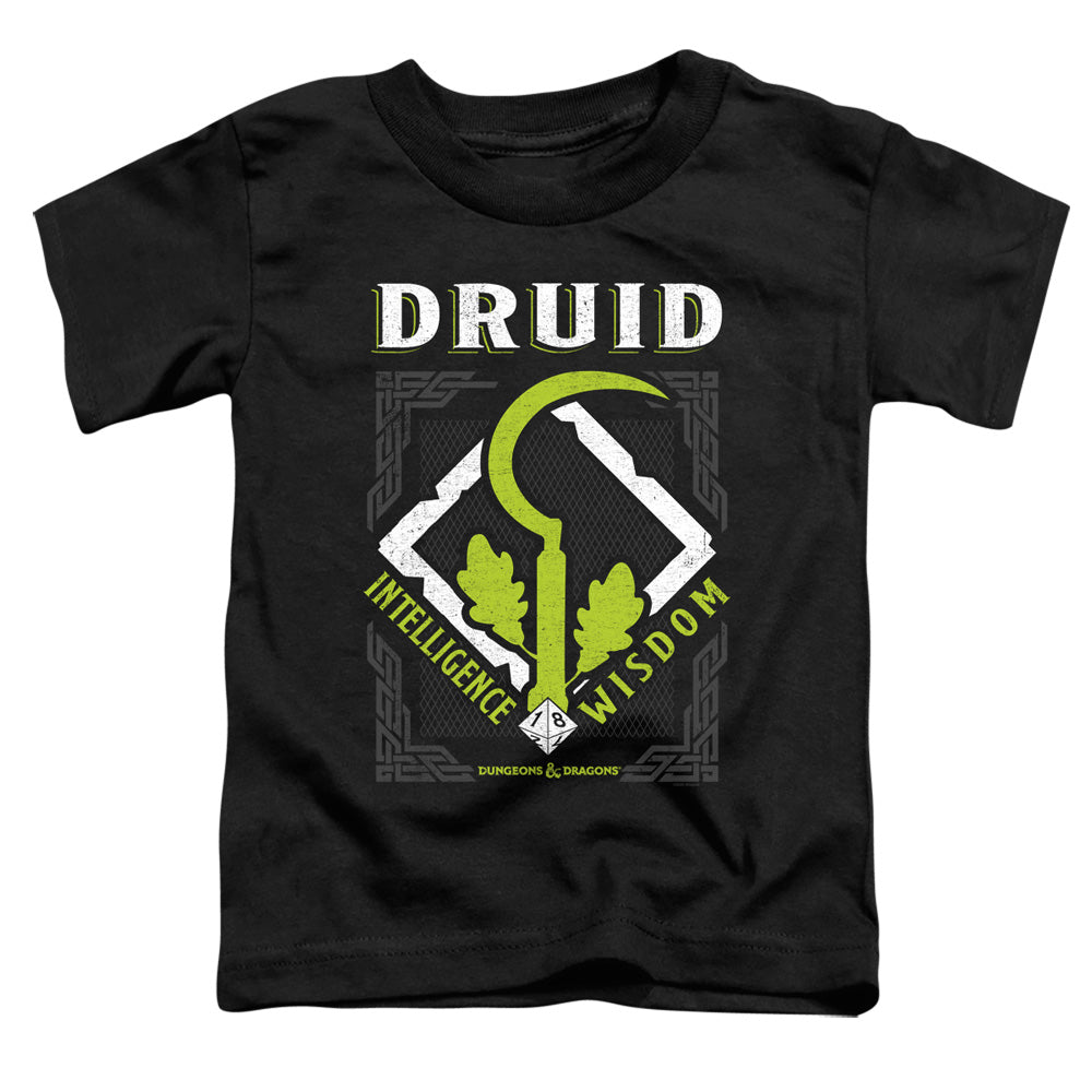 DUNGEONS AND DRAGONS DRUID