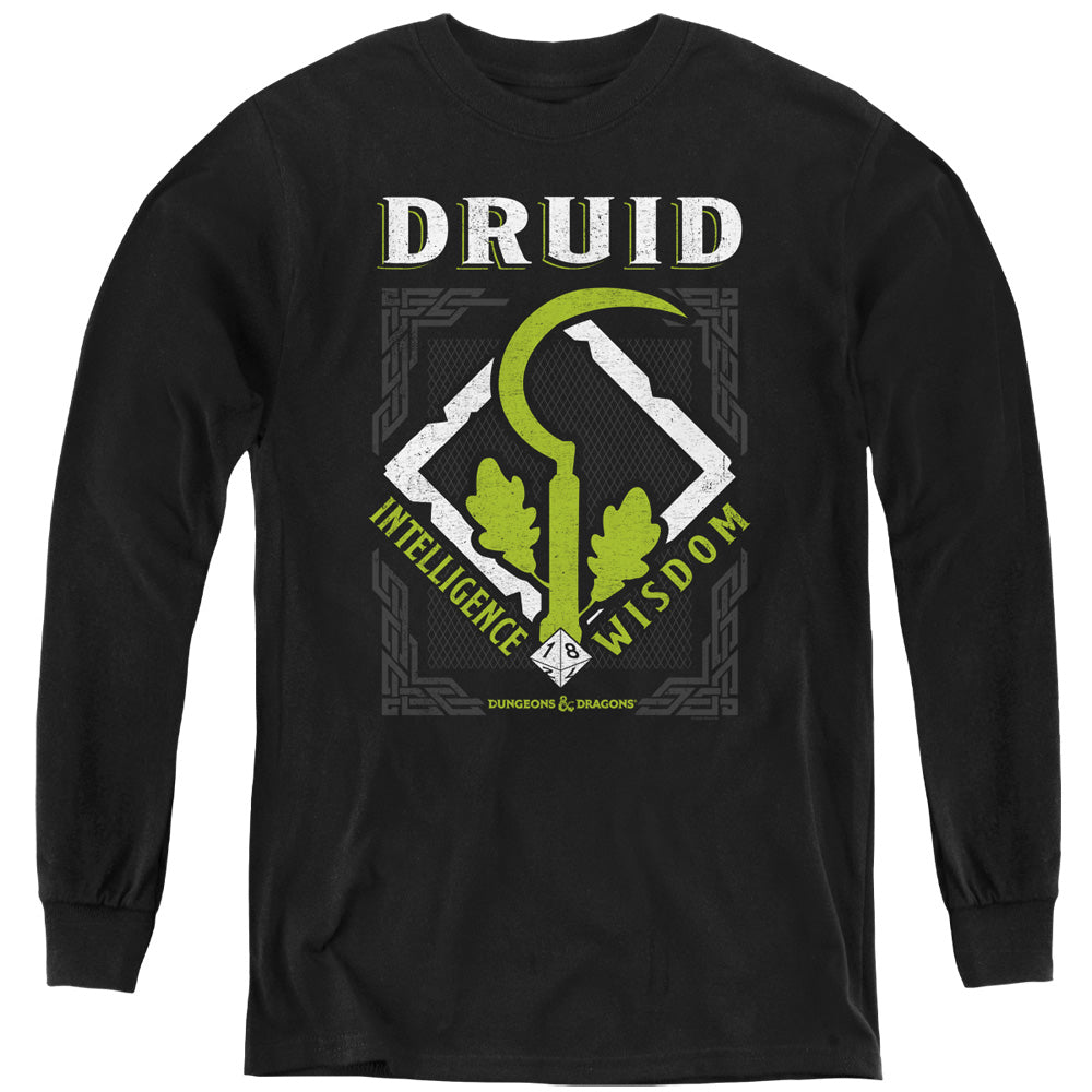 DUNGEONS AND DRAGONS DRUID