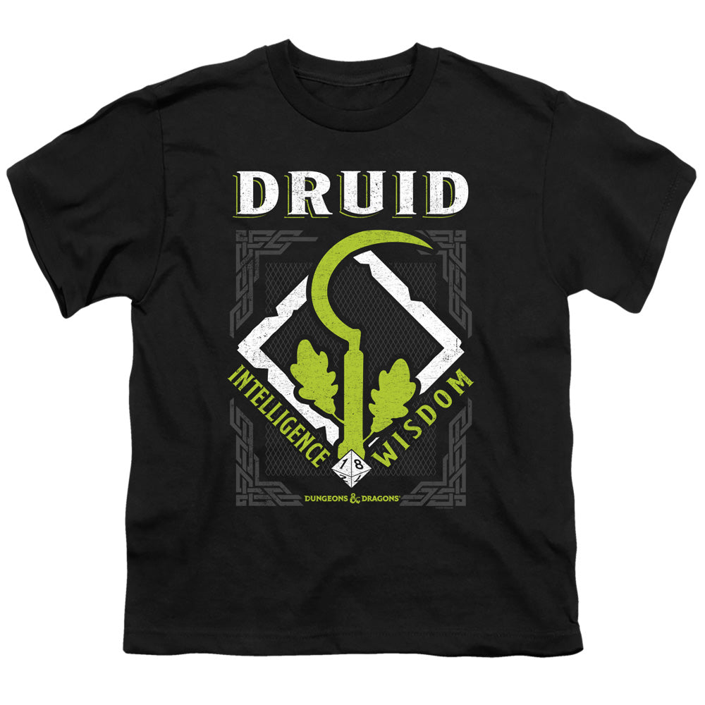 DUNGEONS AND DRAGONS DRUID