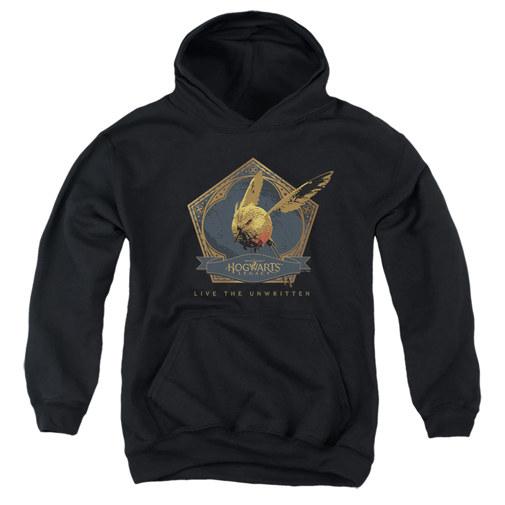 HOGWARTS LEGACY : GOLDEN SNIDGET YOUTH PULL OVER HOODIE Black LG