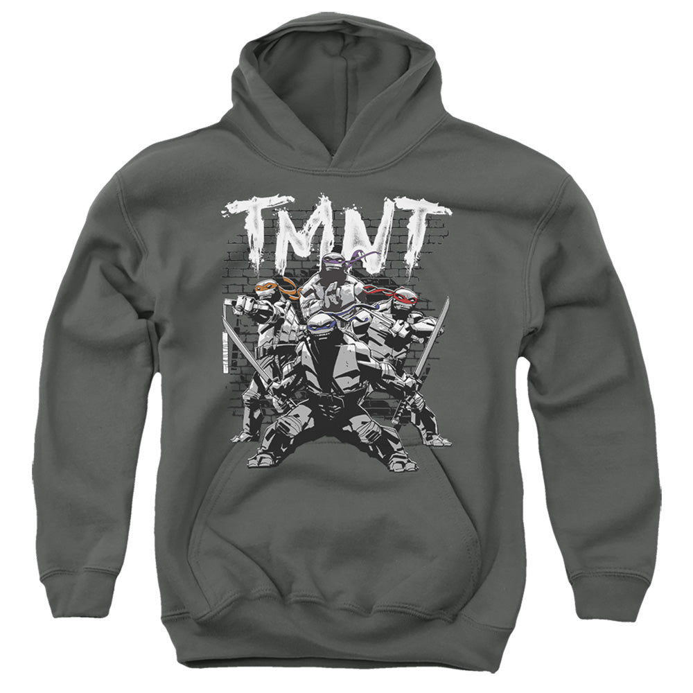 TEENAGE MUTANT NINJA TURTLES : TMNT TEAM YOUTH PULL OVER HOODIE Charcoal LG