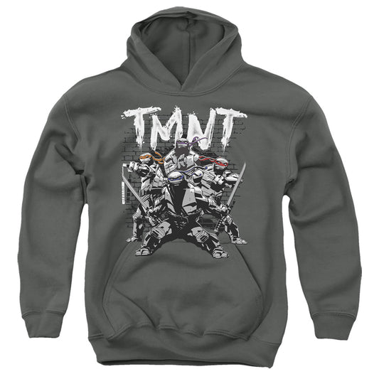 TEENAGE MUTANT NINJA TURTLES : TMNT TEAM YOUTH PULL OVER HOODIE Charcoal SM