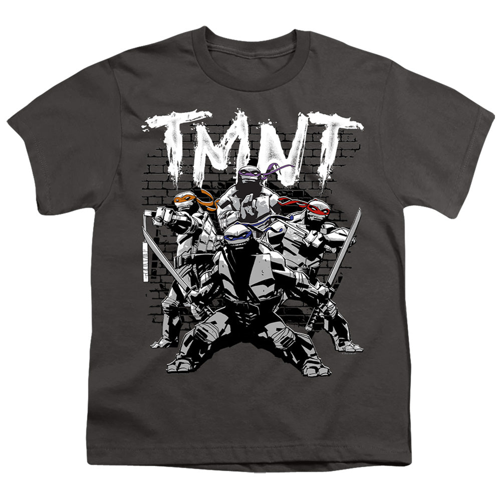 TEENAGE MUTANT NINJA TURTLES : TMNT TEAM S\S YOUTH 18\1 Charcoal LG