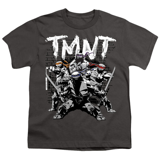 TEENAGE MUTANT NINJA TURTLES : TMNT TEAM S\S YOUTH 18\1 Charcoal LG