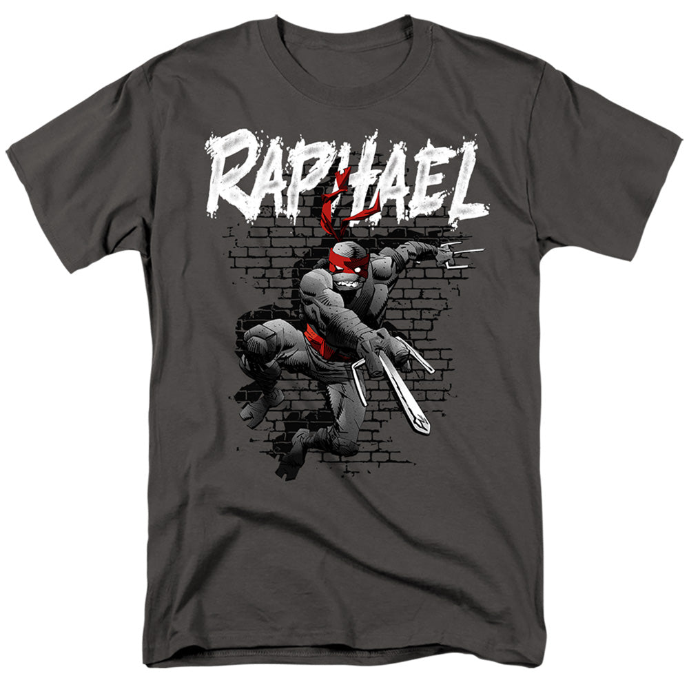 TEENAGE MUTANT NINJA TURTLES : TMNT RAPHAEL S\S ADULT 18\1 Charcoal XL