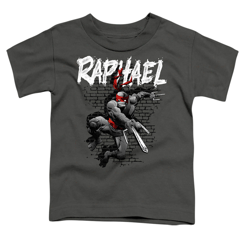 TEENAGE MUTANT NINJA TURTLES : TMNT RAPHAEL S\S TODDLER TEE Charcoal MD (3T)