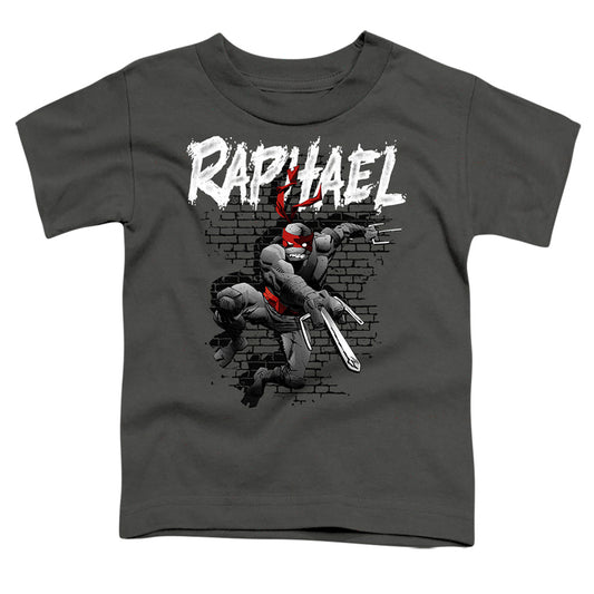 TEENAGE MUTANT NINJA TURTLES : TMNT RAPHAEL TODDLER SHORT SLEEVE Charcoal XL (5T)