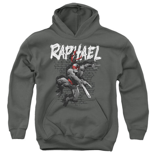 TEENAGE MUTANT NINJA TURTLES : TMNT RAPHAEL YOUTH PULL OVER HOODIE Charcoal LG