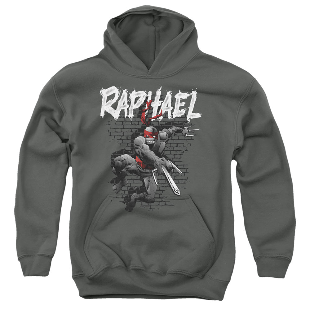 TEENAGE MUTANT NINJA TURTLES : TMNT RAPHAEL YOUTH PULL OVER HOODIE Charcoal SM