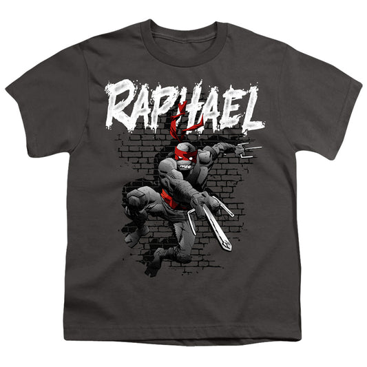 TEENAGE MUTANT NINJA TURTLES : TMNT RAPHAEL S\S YOUTH 18\1 Charcoal LG