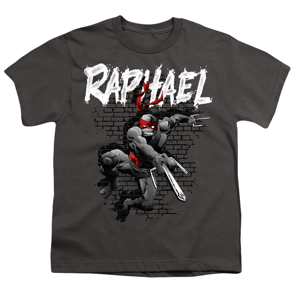 TEENAGE MUTANT NINJA TURTLES : TMNT RAPHAEL S\S YOUTH 18\1 Charcoal XS