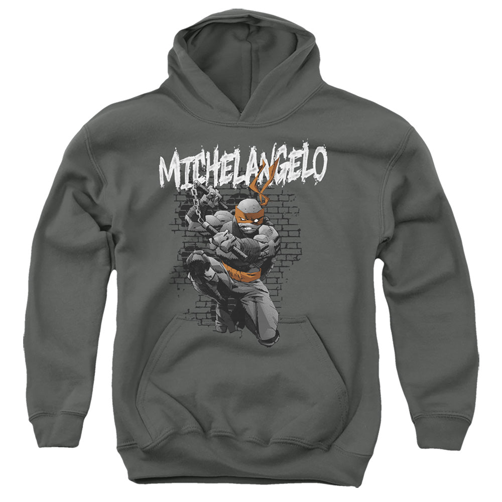 TEENAGE MUTANT NINJA TURTLES : TMNT MICHELANGELO YOUTH PULL OVER HOODIE Charcoal LG