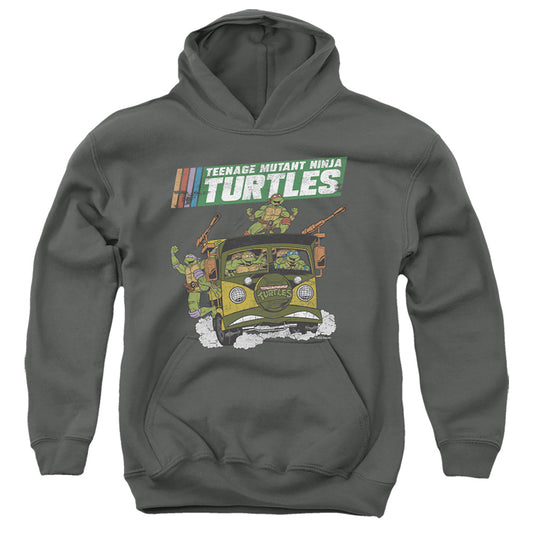 TEENAGE MUTANT NINJA TURTLES : TMNT VAN YOUTH PULL OVER HOODIE Charcoal LG