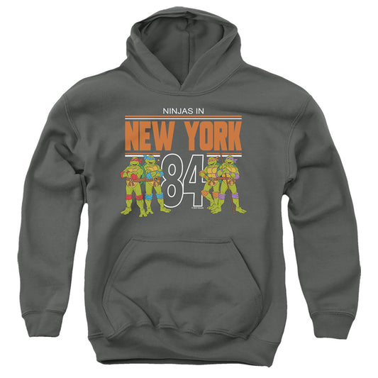 TEENAGE MUTANT NINJA TURTLES : TMNT NYC YOUTH PULL OVER HOODIE Charcoal LG