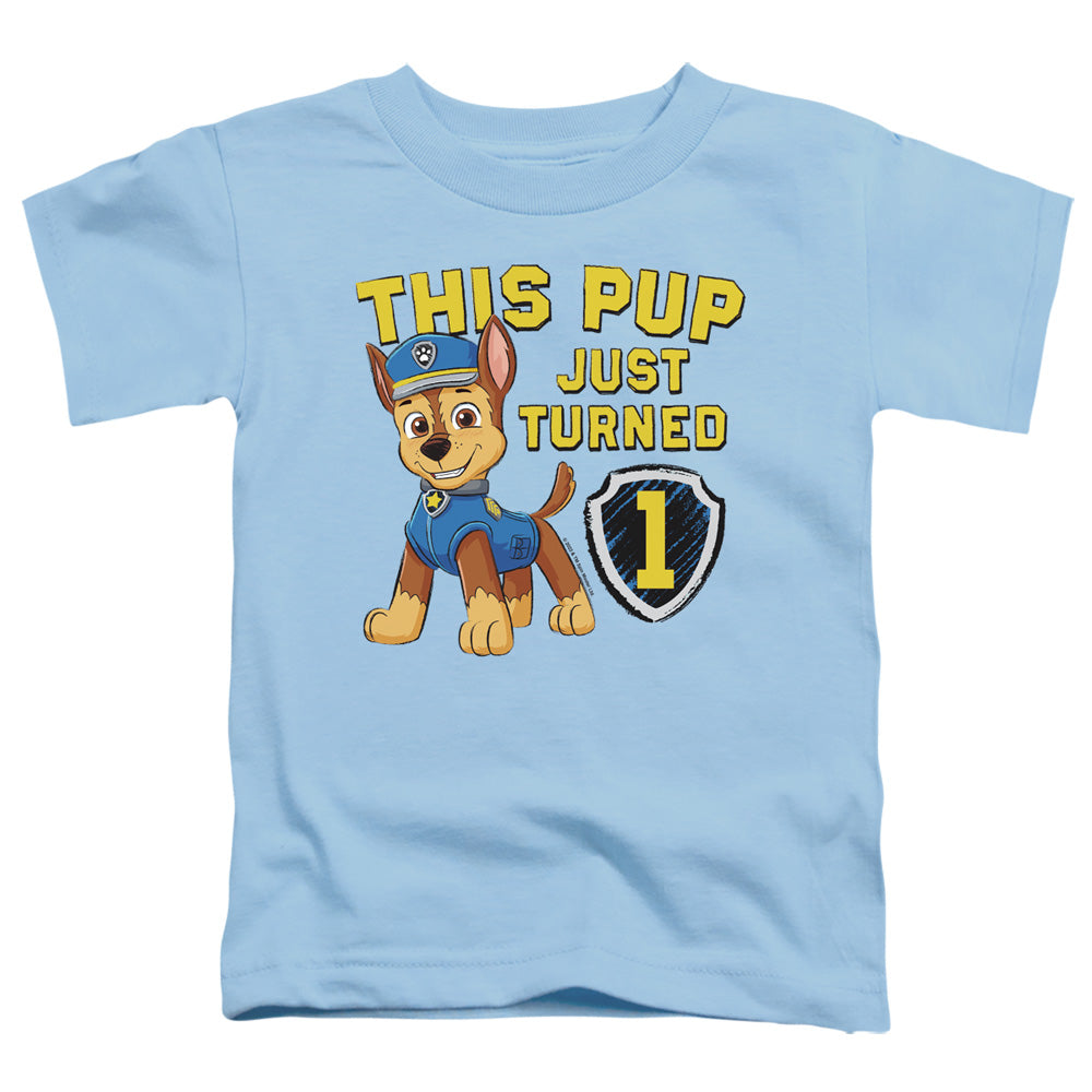 PAW PATROL : THIS PUP'S BIRTHDAY S\S TODDLER TEE Light Blue LG (4T)