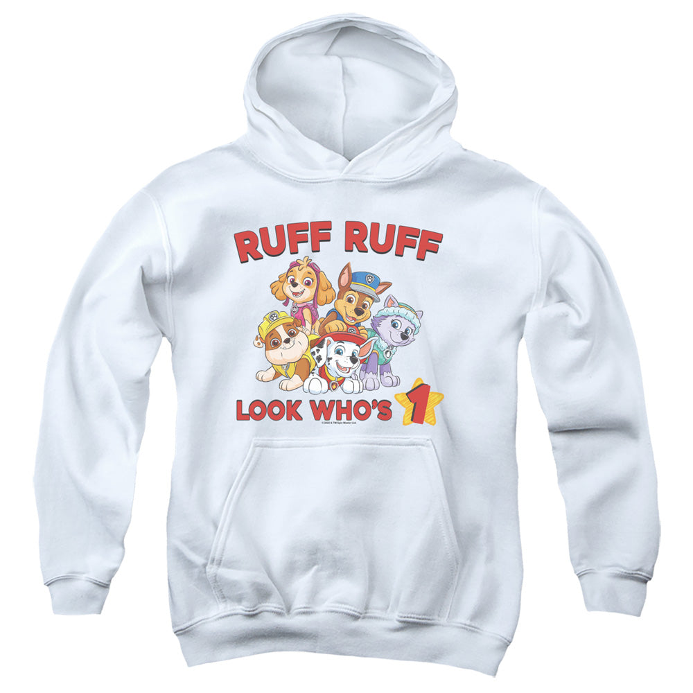 PAW PATROL : RUFF RUFF BIRTHDAY YOUTH PULL OVER HOODIE White MD