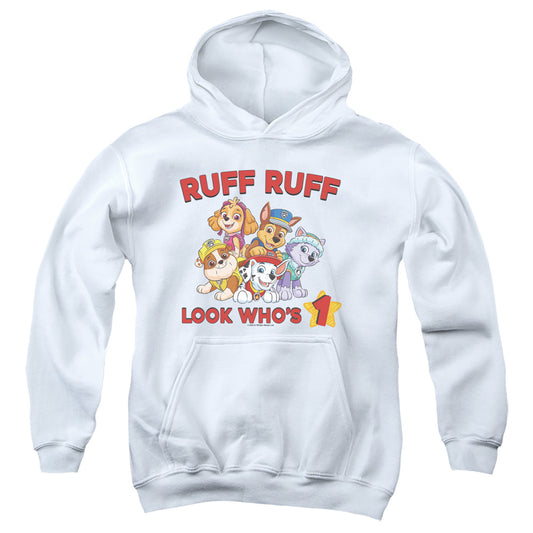 PAW PATROL : RUFF RUFF BIRTHDAY YOUTH PULL OVER HOODIE White XL