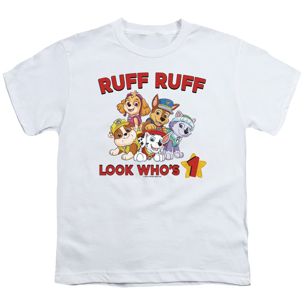 PAW PATROL : RUFF RUFF BIRTHDAY S\S YOUTH 18\1 White LG