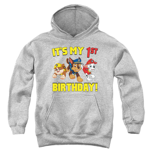 PAW PATROL : GROUP HAPPY BIRTHDAY YOUTH PULL OVER HOODIE Athletic Heather LG