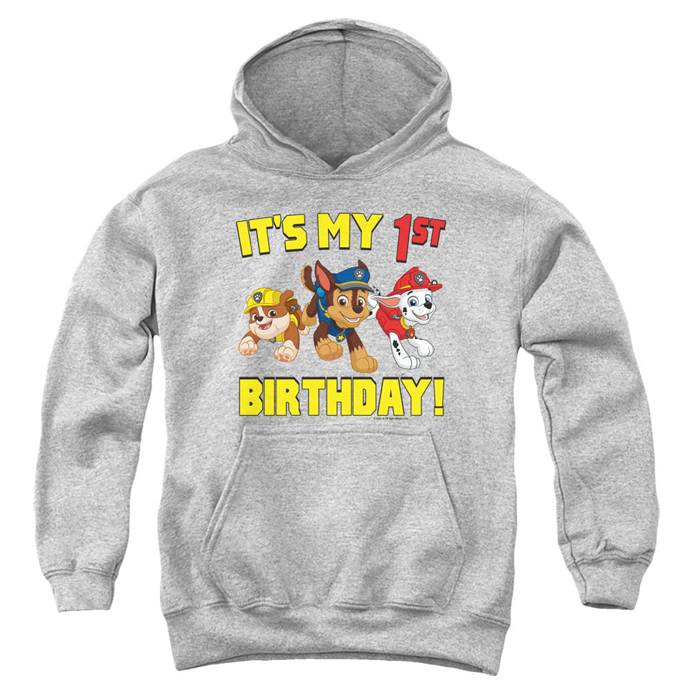 PAW PATROL : GROUP HAPPY BIRTHDAY YOUTH PULL OVER HOODIE Athletic Heather MD