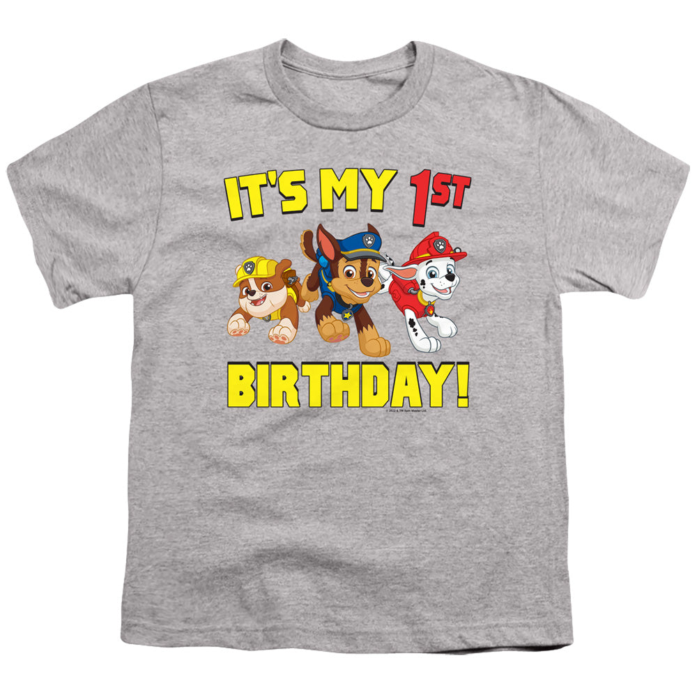 PAW PATROL : GROUP HAPPY BIRTHDAY S\S YOUTH 18\1 Athletic Heather XL